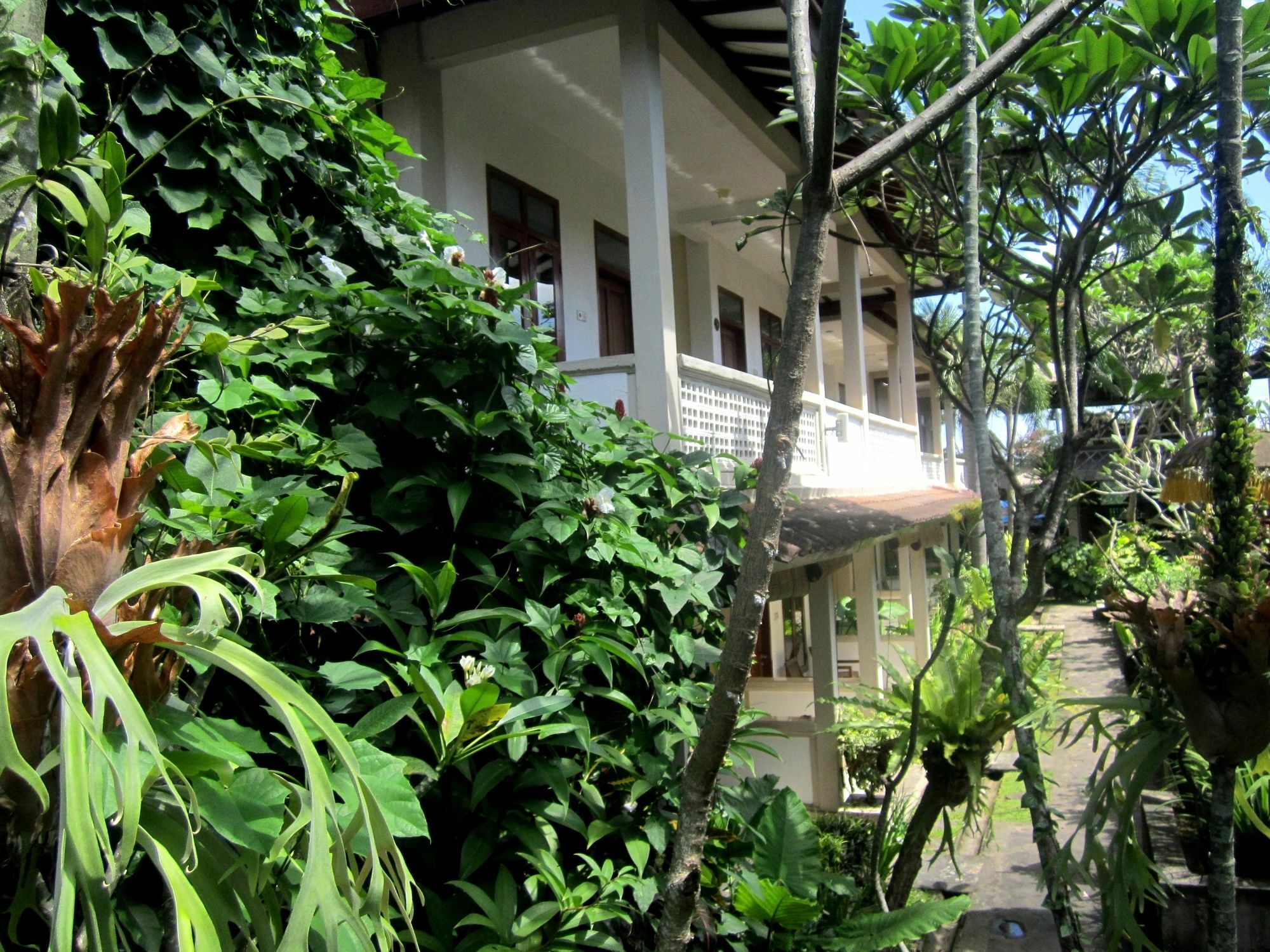 Casa Ganesha Hotel Ubud Zewnętrze zdjęcie